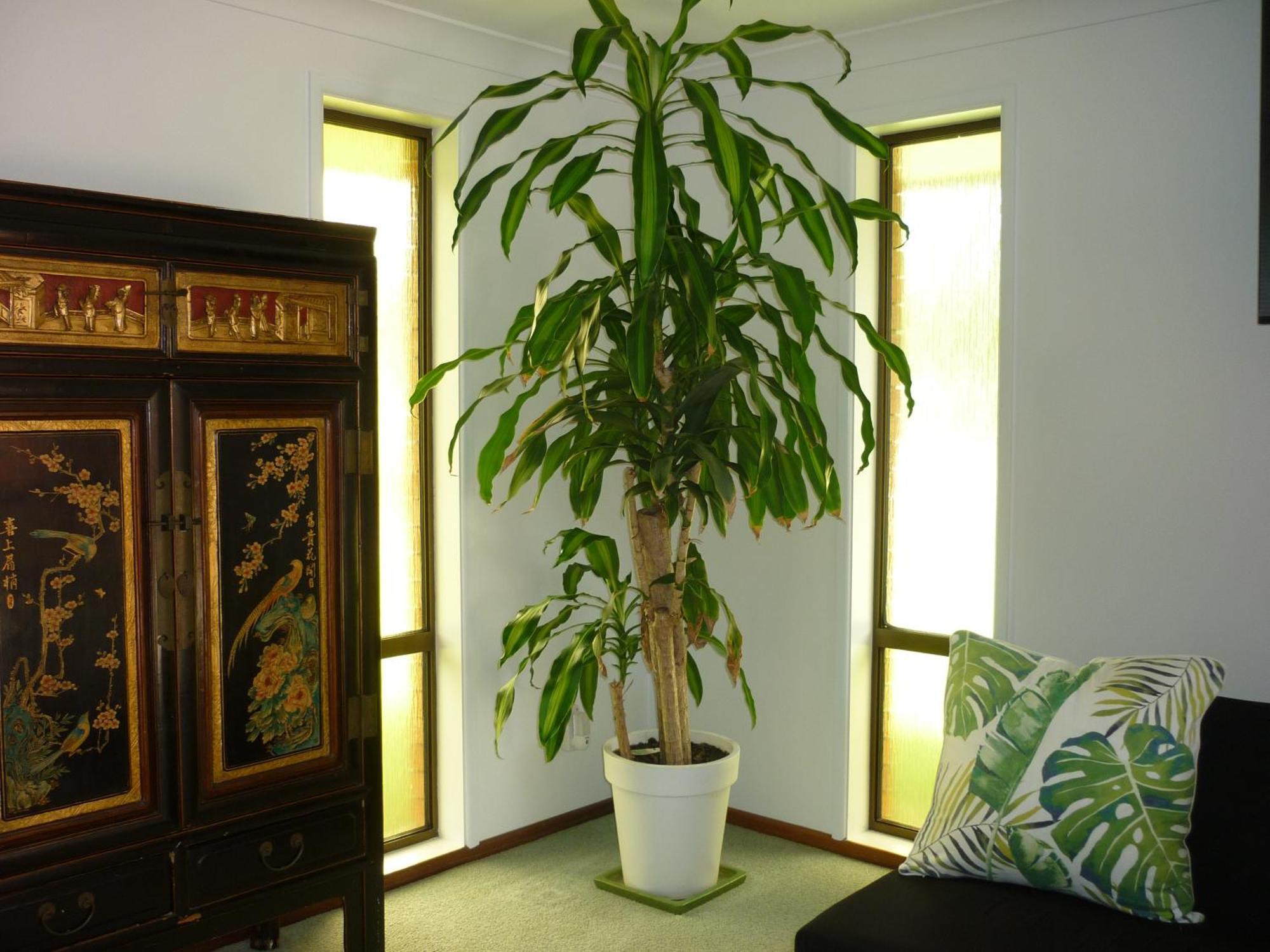 Bill'S Apartment Coffs Harbour Exterior photo